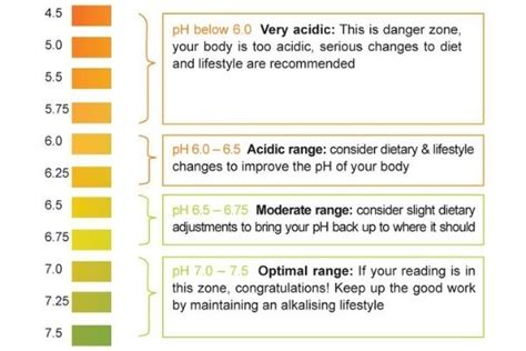 Urine pH Testing: High & Low Levels + How to Improve.